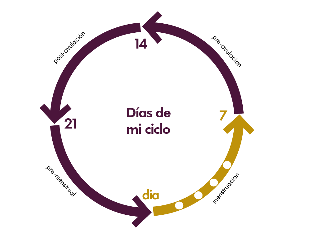 Cycle1ES